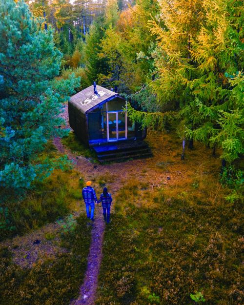 Wooden hut in an autumn forest in the Netherlands, cabin off grid , wooden cabin circled by colorful yellow and red fall trees. couple mid age European man and Asian woman in a cabin in the woods during vacation nature trekking fall season