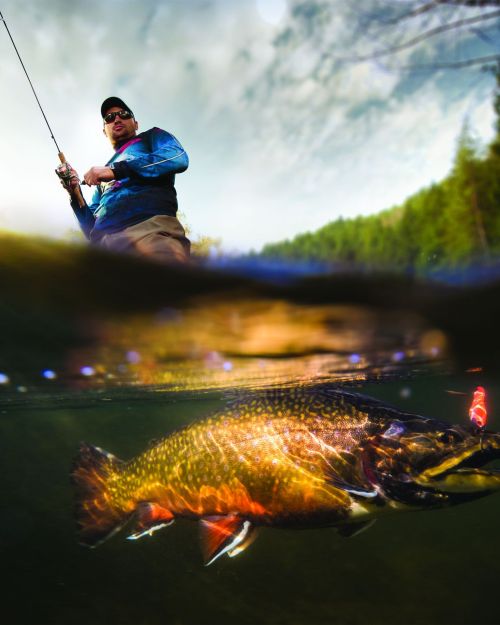Fishing. Fisherman and trout, underwater view